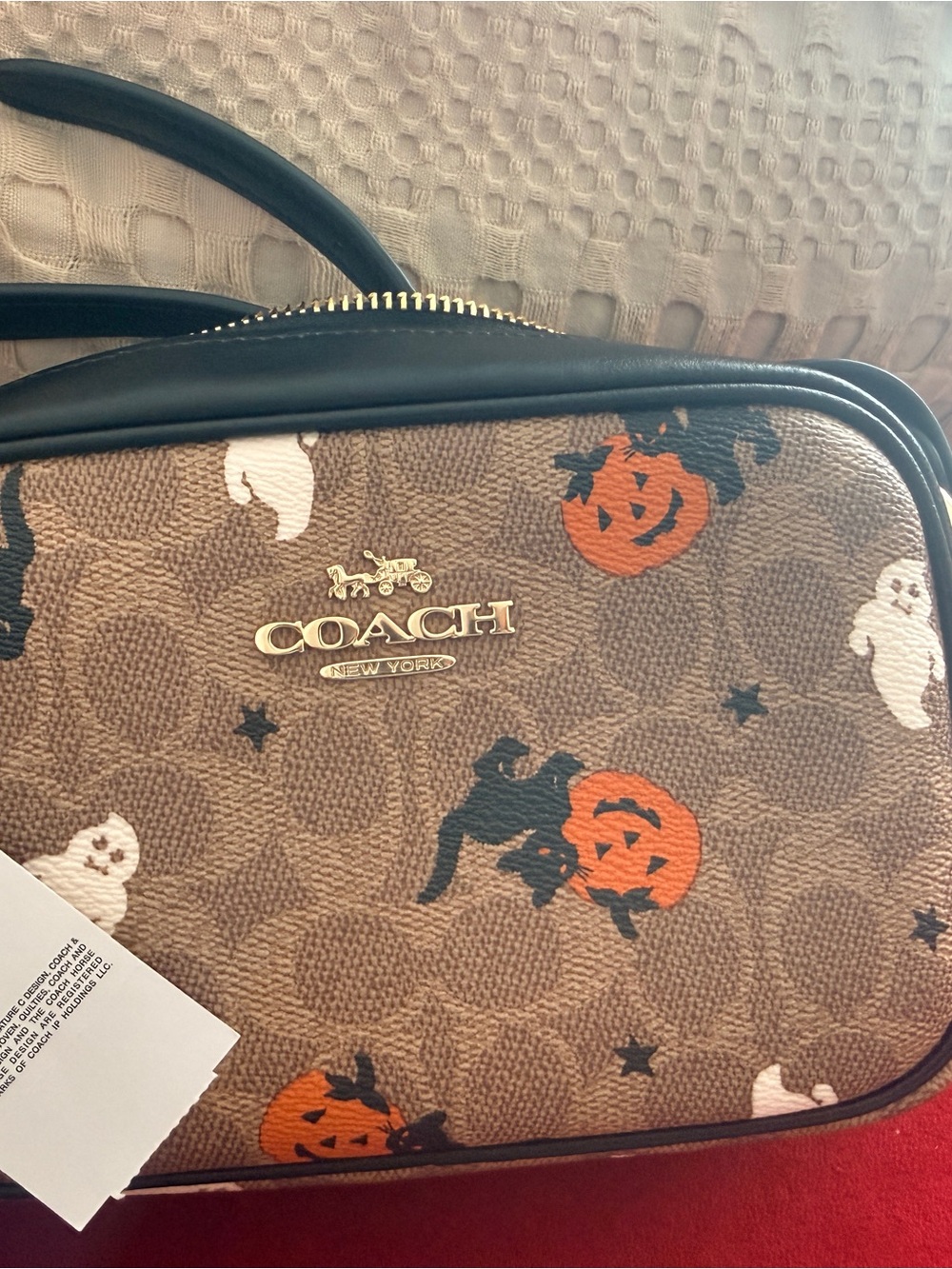 🎃 Rare Coach Halloween Ghost Cat Pumpkin Mini Jamie Camera Bag NWT 👻 - Picture 6 of 8